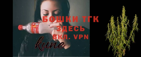 spice Алексин