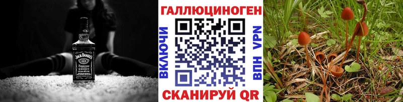 Галлюциногенные грибы GOLDEN TEACHER Всеволожск