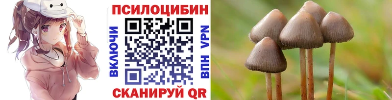 купить наркотик  MEGA как войти  Псилоцибиновые грибы прущие грибы  Всеволожск 