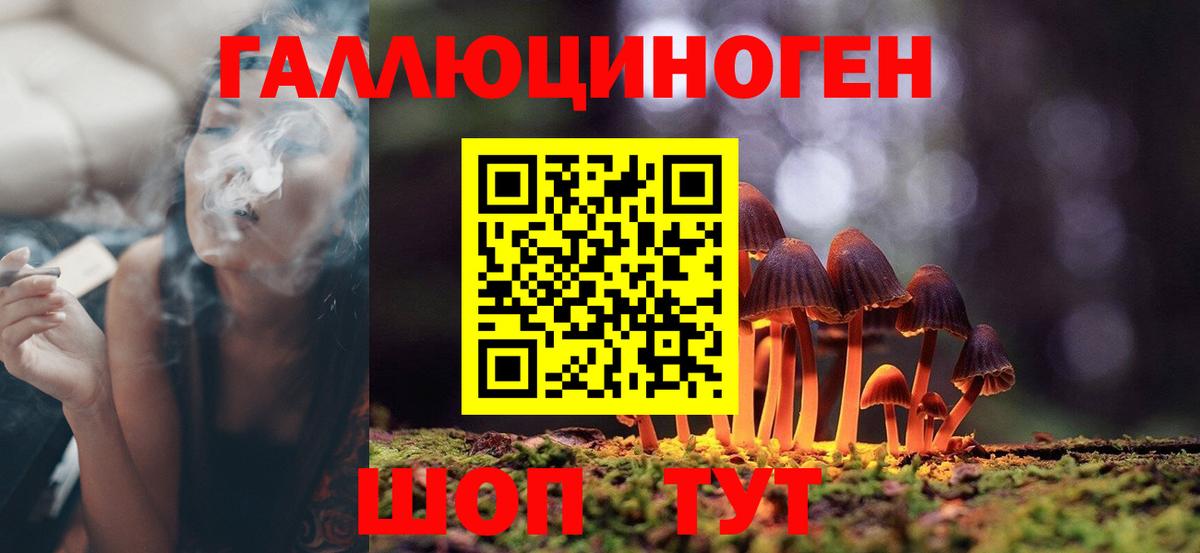Галлюциногенные грибы мухоморы Всеволожск
