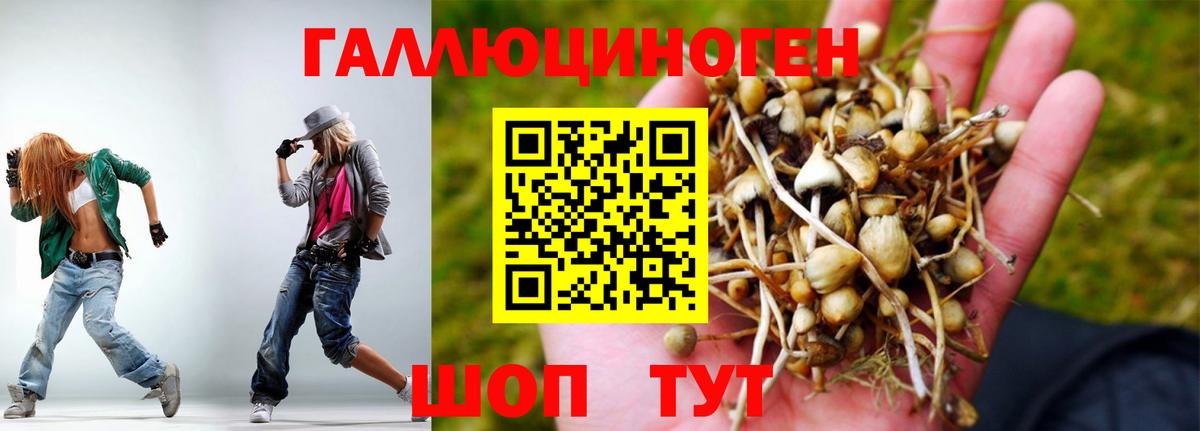 Псилоцибиновые грибы Psilocybine cubensis  купить  цена  Всеволожск  Вход с VPN 